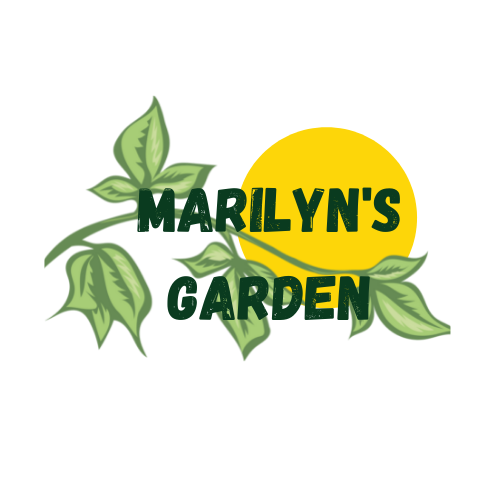 Marilyn's Garden