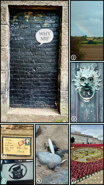 images from the UK - birds, rainbows, flowers, celtic crosses