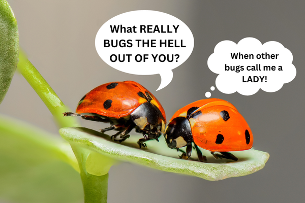 Come to #FreeWrite Friday and write about it!