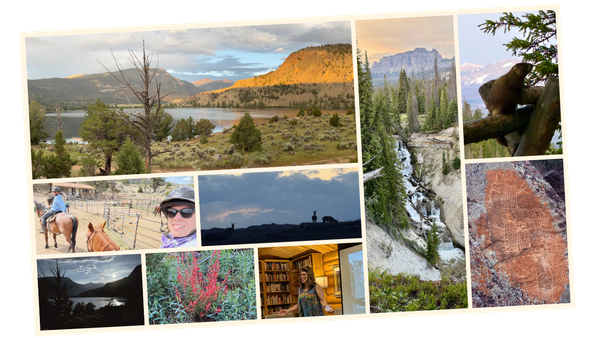 scenes from Ring Lake Ranch