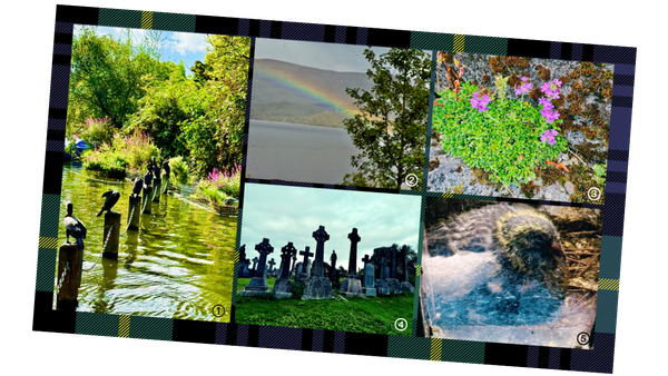 images from the UK - birds, rainbows, flowers, celtic crosses