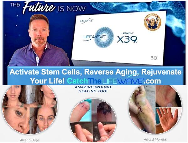 Get The Performance Bundle & Elevate Your LIfe