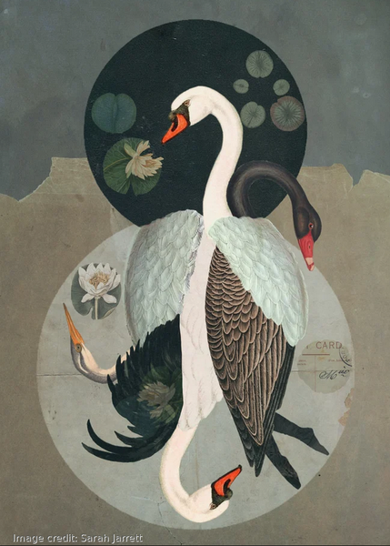 Image Credit: Sarah Jarrett