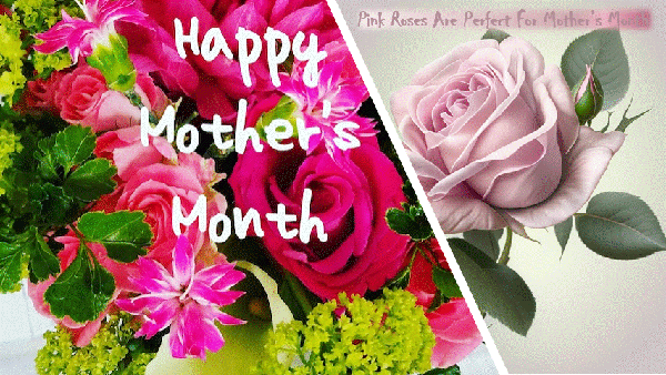 Happy Mother's Month Pink Roses Are Perfect For Mother's Month