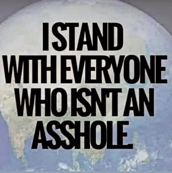 Instagram Graphic: No Assholes!