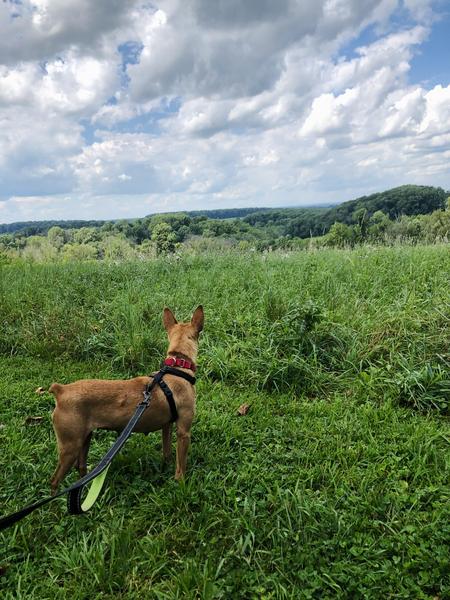 Writer sitting on chair