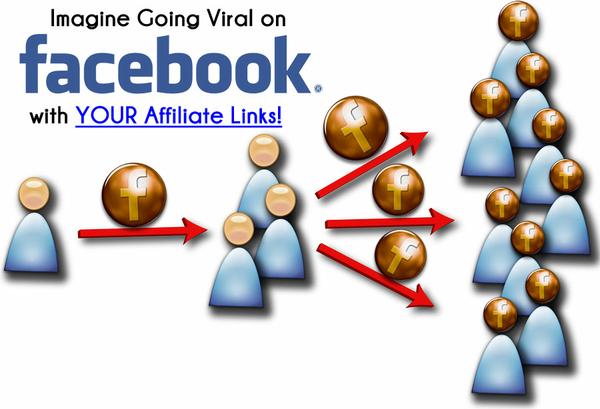 My network only coupon - post viral links on FB with your affiliate link!