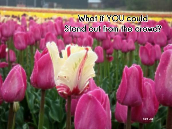 What if YOU can stand out from the crowd?