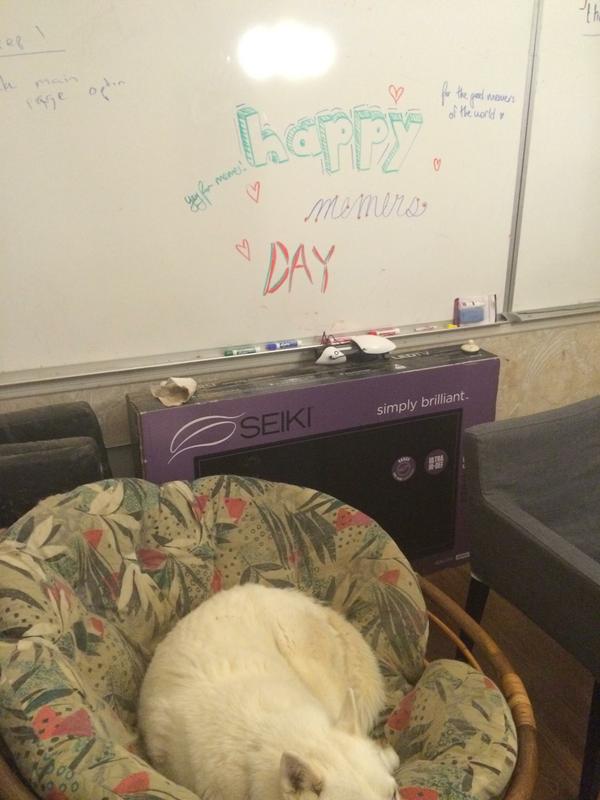 Kids wrote this on my board