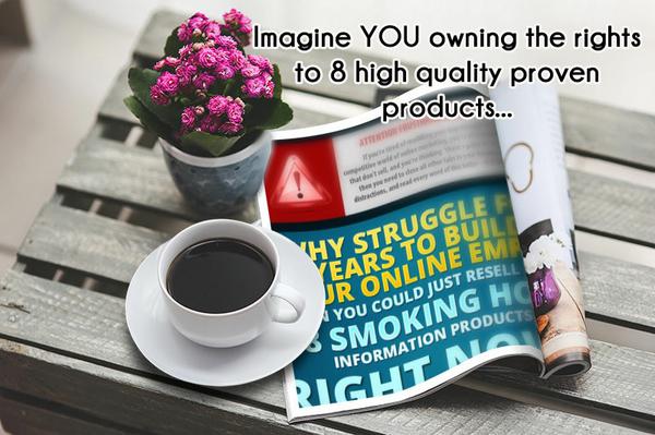 Get ALL the components of 8 proven bestsellers... PLR/RR rights included!