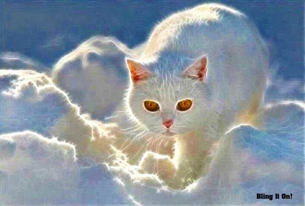 It's a bird!  It's a Plane!  No, It's Super PLR!