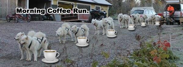 Morning Coffee 'n Moose!