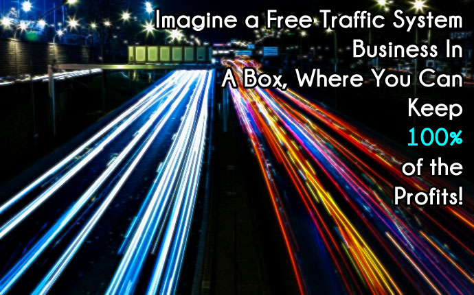 Entire business in a box, just customize with your name, your buy buttons, upload and keep 100% of the profits!