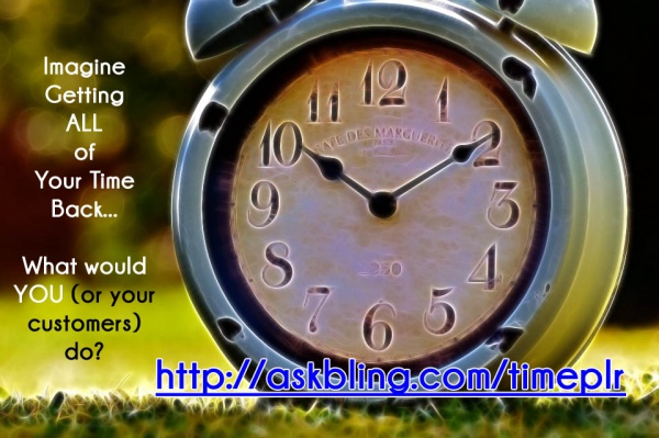 Entire business in a box goodie!