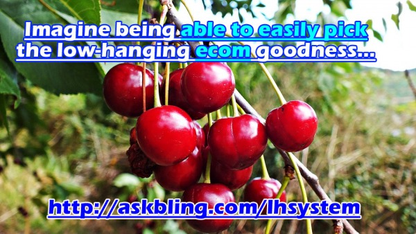 Pick the low-hanging fruit in eCom - http://askbling.com/lhsystem