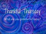 What Are You grateful For Today