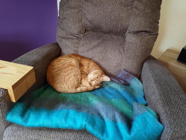An orange cat curled up on a fuzzy blue blanket in an armchair that's too big for him