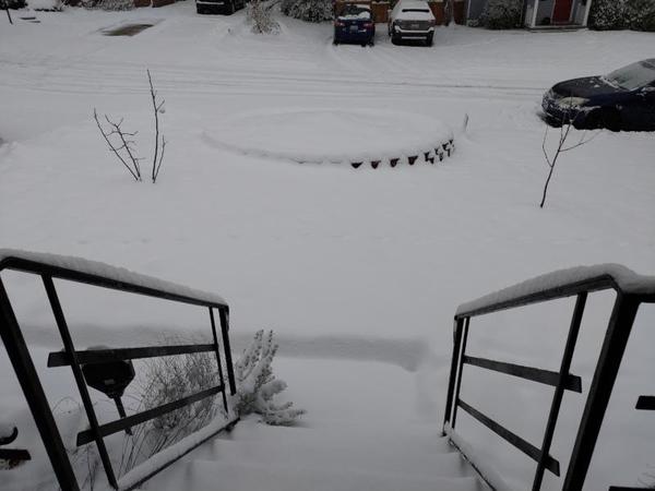 snowy front steps, yard, and street