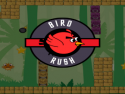 Bird Rush