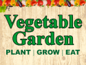 Vegetable Garden
