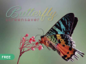 Butterfly Screensaver