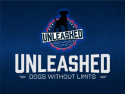 Unleashed