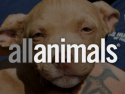 All Animals
