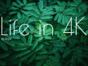 Life in 4K