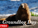 Groundhog