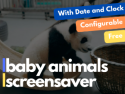 Baby Animals Screensaver