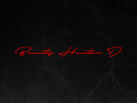Bounty Hunter D