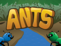 Ants