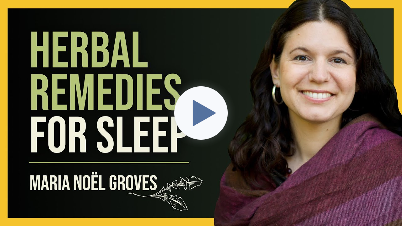 Herbs for Sleep: Indications for Popular Herbs with Maria Noël Groves