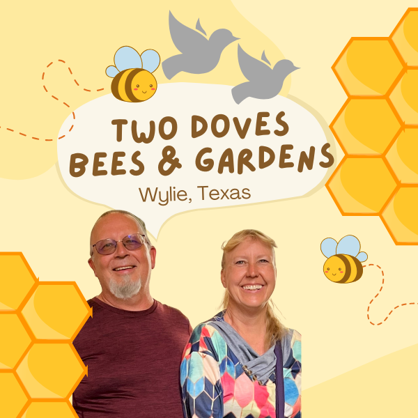 Watch Lone Star Ladies and discover how local government works.