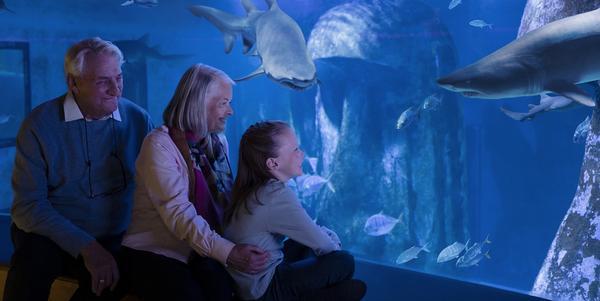 Undersea Explorer