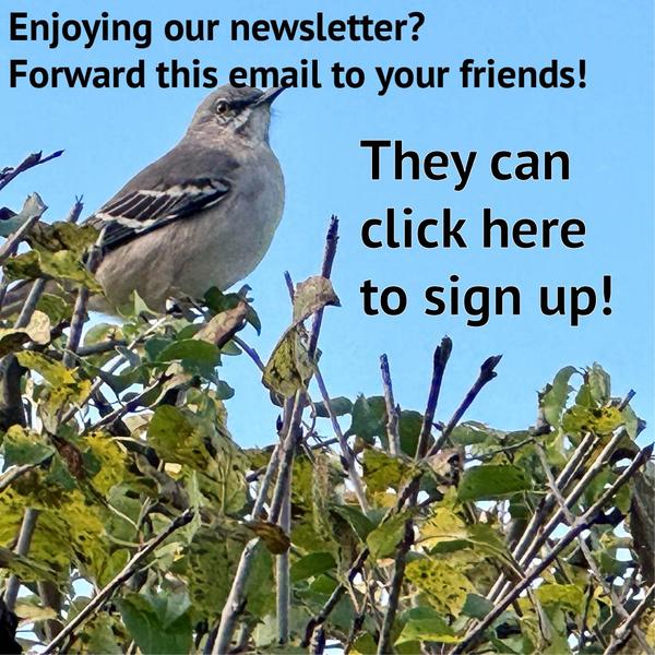 Sign up for our weekly newsletter
