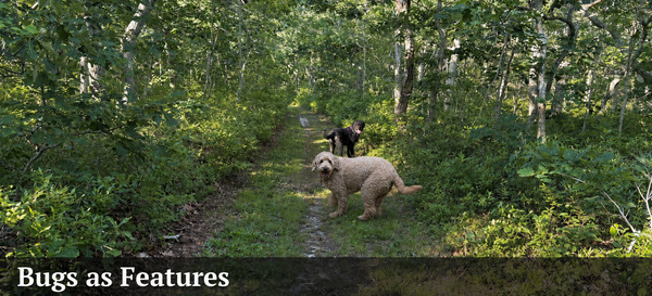 Debra Ross's weekly column