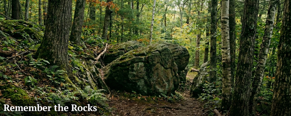 Publisher's Note image