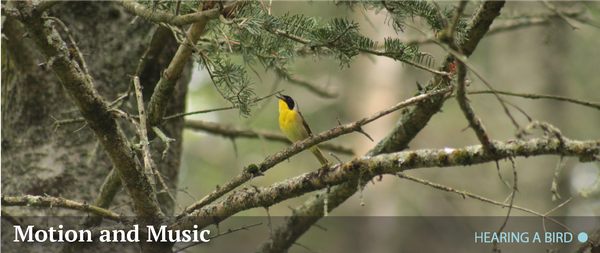 Publisher's Note Image