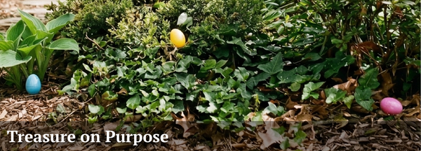 Publisher's Note Image