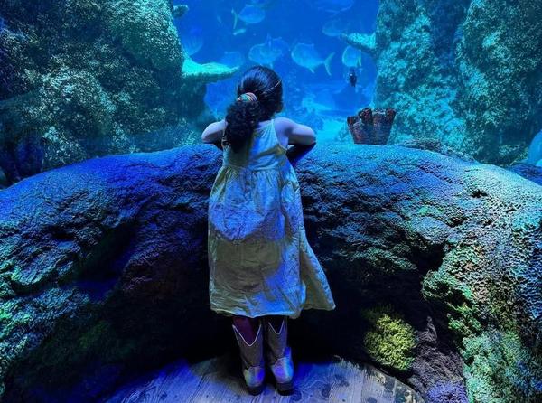 SEA LIFE