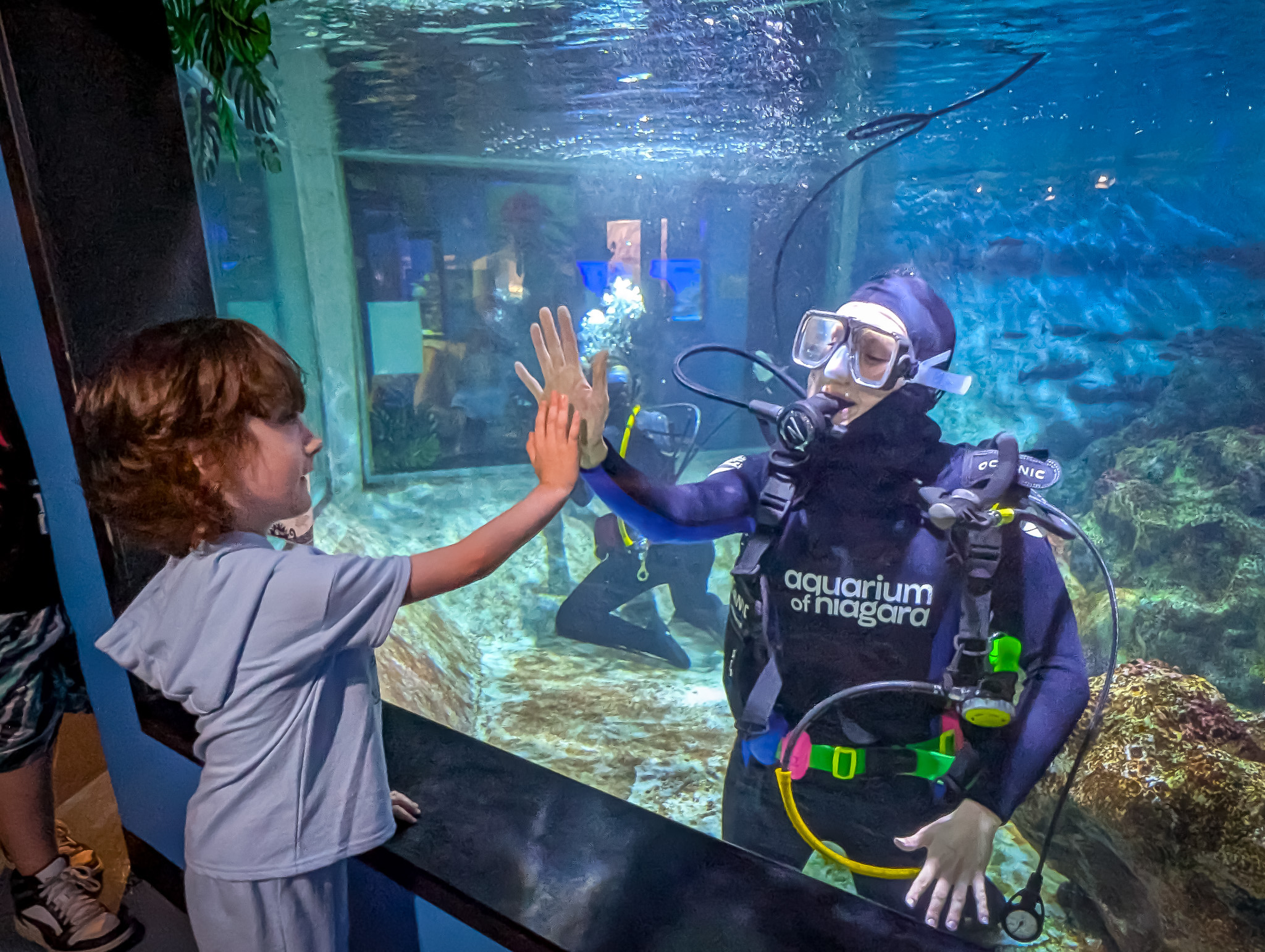 Aquarium of Niagara