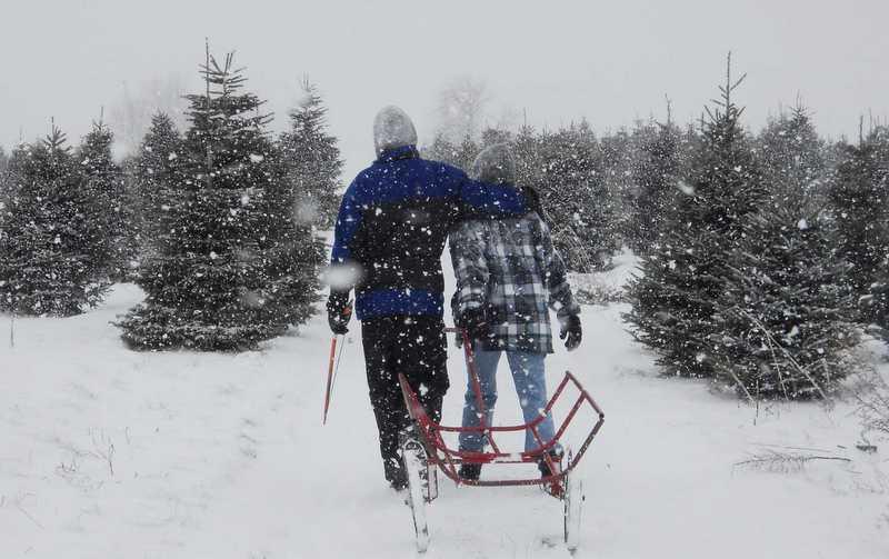 Couple get tree in snow at Stokoe Farms