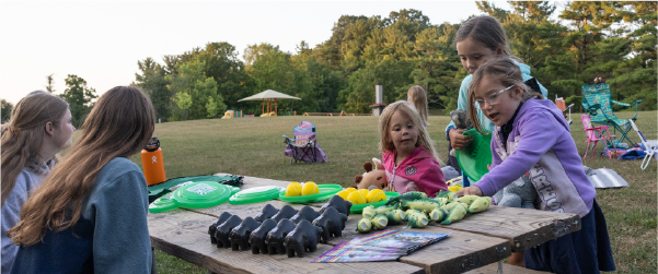 Allegheny County Movies in the Parks