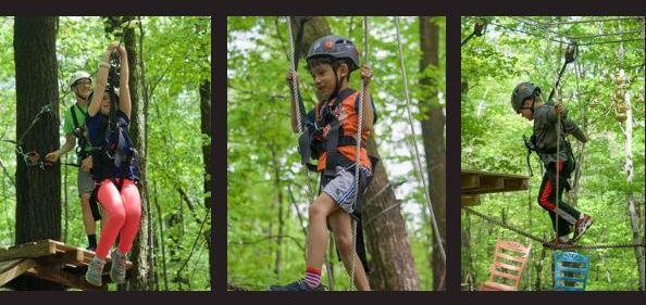 NYzipline