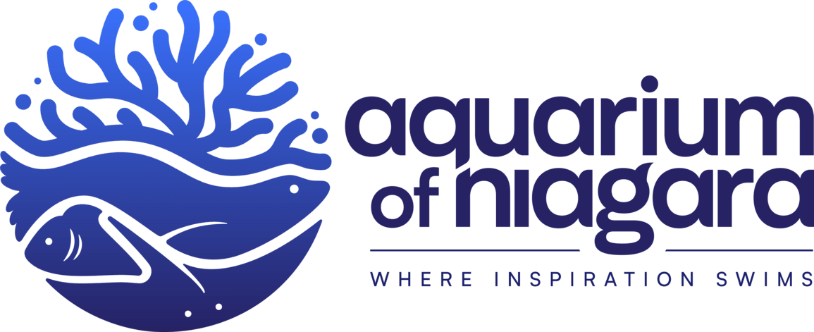 Aquarium of Niagara