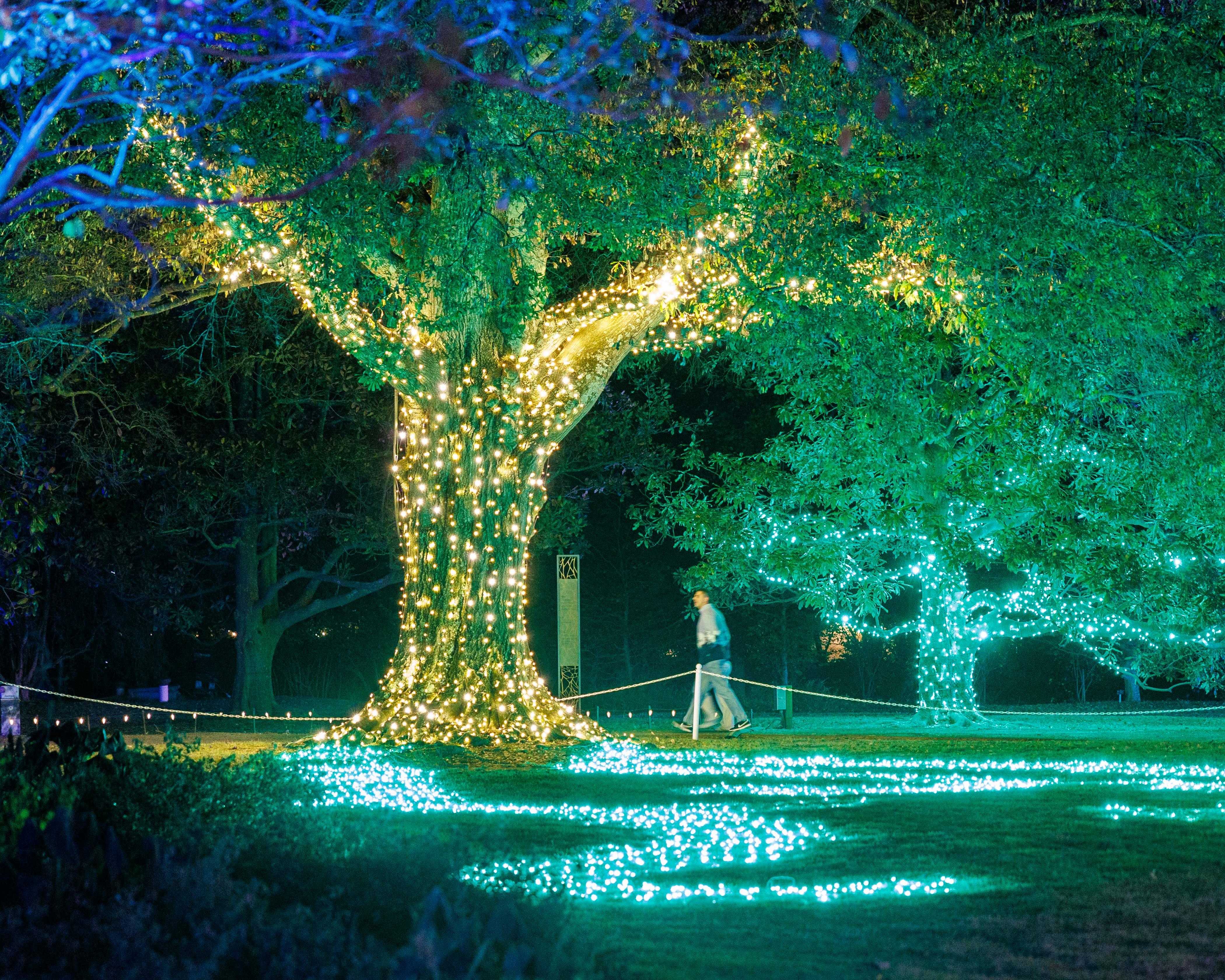 Memphis Botanic Garden