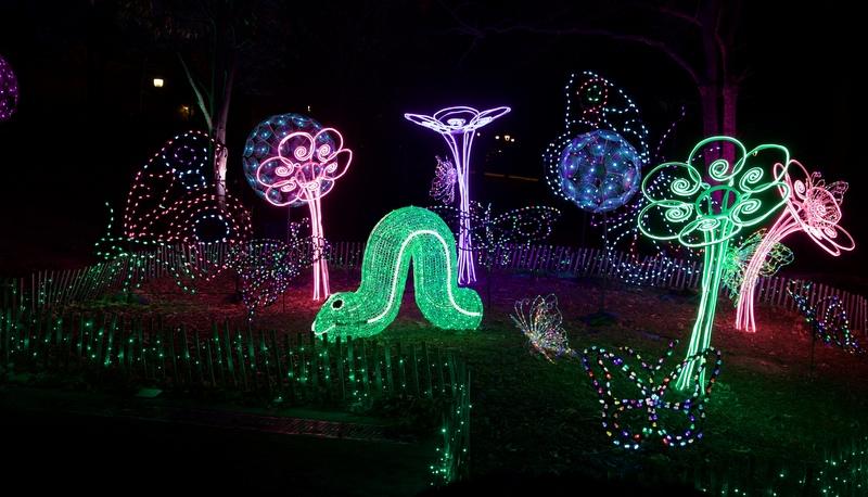 St Louis Zoo Wild Lights