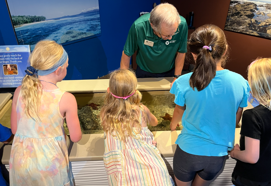 Butterfly Pavilion’s Rosie’s Discovery Summer Camps