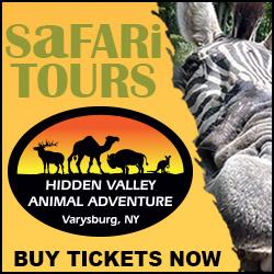 Safari Tours at Hidden Valley Animal Adventure
